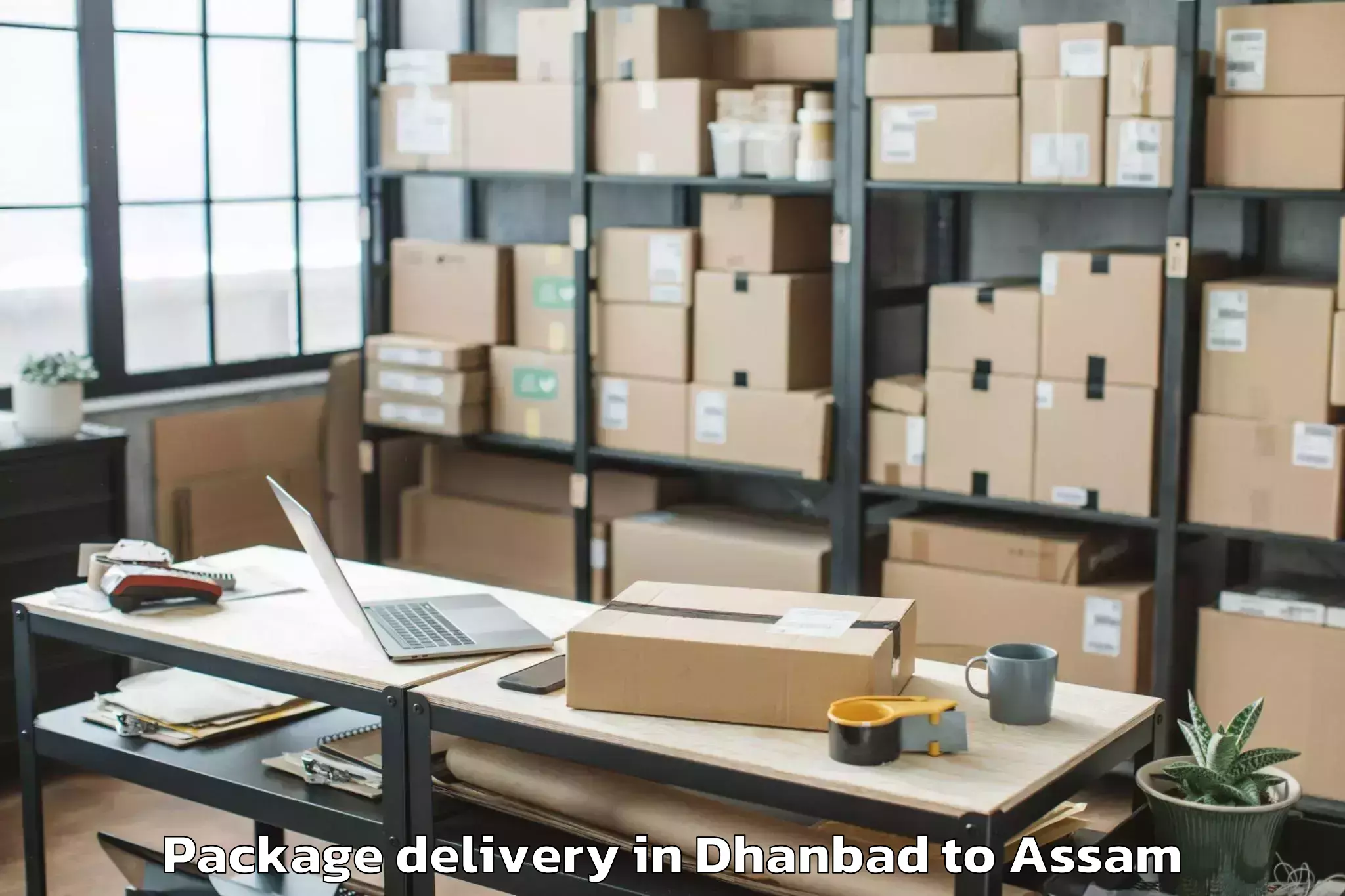 Professional Dhanbad to Pathorighat Pt Package Delivery